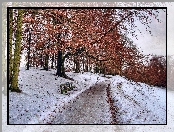 Zima, Park, Ławeczki