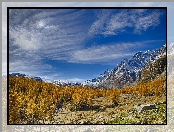 Włochy, Jesień, Drzewa, Region Piemont, Góry Alpy, Dolina Val Buscagna, Ośrodek narciarski Alpe Devero