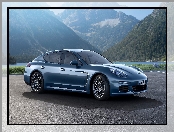 Porsche Panamera Diesel, 2013 - 2016, Góry