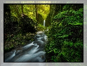 Rezerwat przyrody Columbia River Gorge, Stany Zjednoczone, Las, Rzeka Ruckel Creek, Skały, Stan Oregon, Kamienie, Wodospad Mossy Grotto Falls, Omszałe