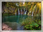 Drzewa, Jezioro, Wodospad, Chorwacja, Park Narodowy Jezior Plitwickich, Rośliny