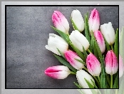Tulipany, Różowo-Białe