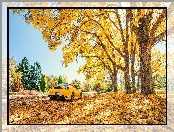 Żółty, Drzewa, Jesień, Ferrari F 430, Liście, Samochód
