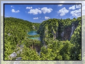 Chorwacja, Roślinność, Park Narodowy Jezior Plitwickich, Wodospady, Jeziora, Drzewa, Skały