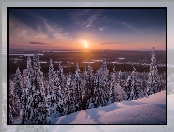 Finlandia, Świerki, Gmina Posio, Zachód słońca, Laponia, Park Narodowy Riisitunturi, Zima, Drzewa