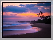 Palmy, Sri Lanka, Plaża, Ocean, Zachód Słońca