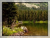 Jezioro Swiftcurrent, Stan Montana, Stany Zjednoczone, Góry, Park Narodowy Glacier, Lasy