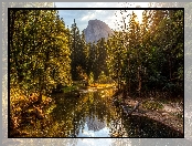 Stany Zjednoczone, Góry, Park Narodowy Yosemite, Góra Half Dome, Stan Kalifornia, Jesień, Rzeka Merced, Drzewa