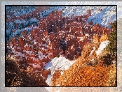 Park Narodowy Bryce Canyon, Utah, Skały, Stany Zjednoczone, Rośliny, Kanion, Śnieg