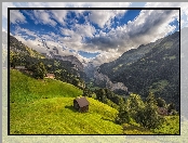 Las, Góry, Chmury, Dolina Lauterbrunnental, Szwajcaria, Alpy Berneńskie, Kanton Berno, Domy, Wengen