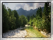 Kamienie, Triglavski Park Narodowy, Słowenia, Góry, Rzeka, Drzewa