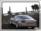 Tył, Wydechowe, Bentley Continental GT, Rury