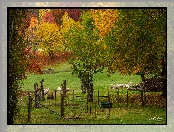 Jesień, Stan Wiktoria, Zagroda, Australia, Łąka, Drzewa, Owce, Wandiligong Valley