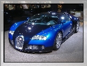 Błękitny, Veyron, Wystawa