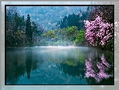 Poranek, Wiosna, Korea Południowa, Drzewa
, Jezioro, Mgła