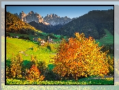 Włochy, Wieś Santa Maddalena, Kościół, Dolina Val di Funes, Drzewa, Lasy, Dolomity, Jesień, Góry, Masyw Odle