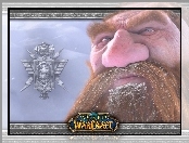 World Of Warcraft, broda, fantasy, krasnolud