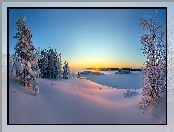 Śnieg, Drzewa, Zima, Wschód słońca
