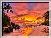 Palmy, Wyspa Maui, Hawaje, Chmury, Ocean, Zachód słońca