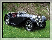 Zabytkowy, 1935, Jaguar, Ss100