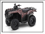 Quad, 2021, Honda FourTrax Rancher