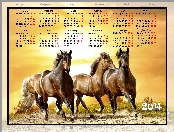 Kalendarz, 2014, Konie