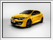 Renault Megane R.S. Hatchback III Coupe, 2013 - 2015