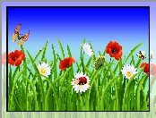 2D, Trawa, Kwiaty, Motylki, Biedronka