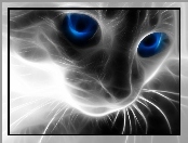 3D, Kot, Sierść, Niebieskie, Oczy