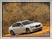 BMW 750Li F01