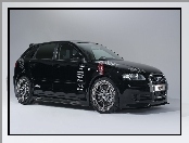 Audi A3, Tuning