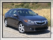 Acura TSX, Atrapa, Szyby