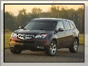 Acura MDX, Emblemat, Reflektor