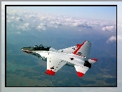 Korea Aerospace Industries, T-50 Golden Eagle