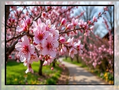 Drzewo owocowe, Grafika AI, Gałązka, Kwiaty