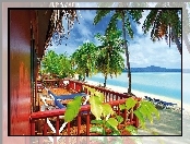 Aitutaki, Palmy, Islandia, Taras