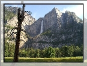 Drzewa, Stan Kalifornia, Stany Zjednoczone, Góry, Park Narodowy Yosemite, Łąka