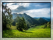 Góry, Łąki, Drzewa