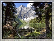Góry, Alberta, Jezioro Rawson, Drzewa, Kanada, Lasy