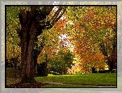 Park, Alejka, Jesień