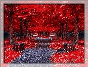 Park, Alejki, Ławki