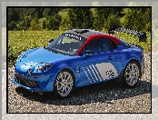 Alpine A110 Rally, Rajdowy