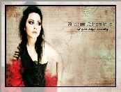 Amy Lee, Evanescence, Plakat