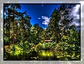 Park, Anglia, Staw, Mostek