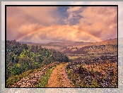 Park Narodowy Peak District, Anglia, Tęcza, Dolina Longdendale, Drzewa, Hrabstwo Derbyshire, Las, Wzgórza, Droga