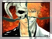 Hollow, Bleach, Anime