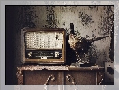 Antyk, Dekoracja, Bażant, Stare, Radio