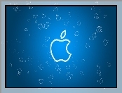 Apple, iBook