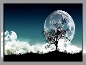 Apple, Księżyc, Drzewo, Noc, Logo