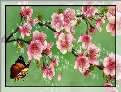 Art, Kwiaty, Owocowego, Drzewa, Motyl